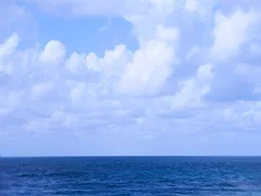 Barbat de 49 de ani, 1.96, 95 kg