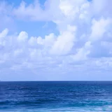 Barbat de 49 de ani, 1.96, 95 kg